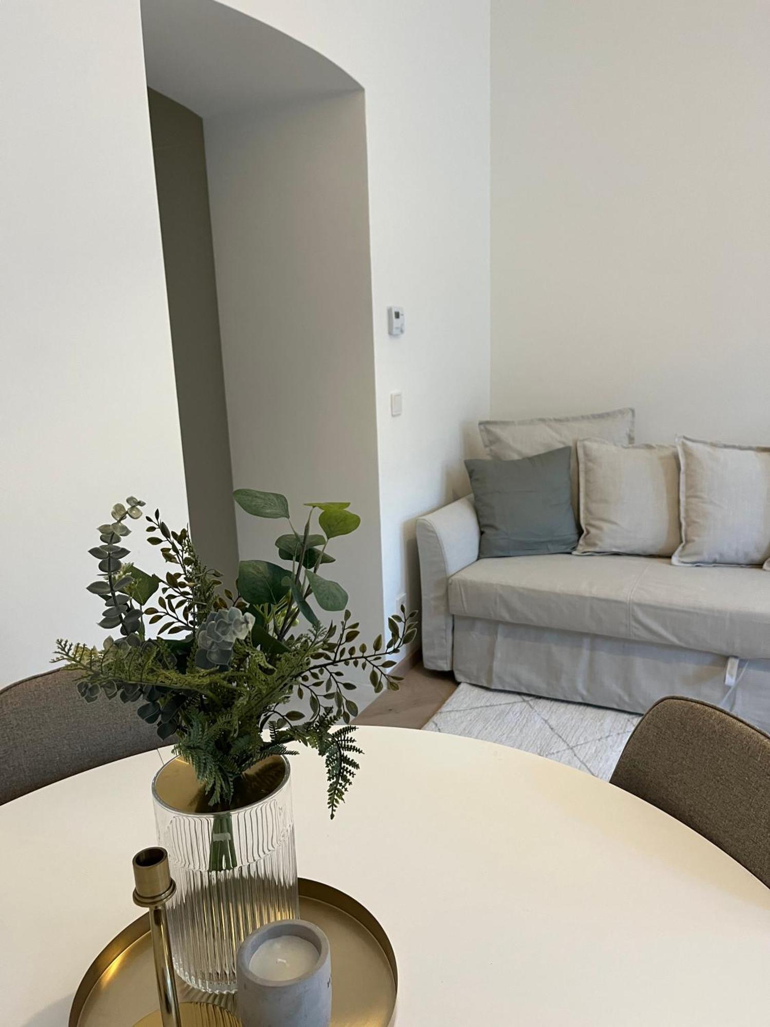 Luxurious One Room Apartment Near Schoenbrunn Palace Вена Экстерьер фото